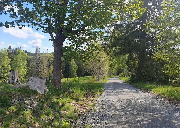 Hexnquartier Daire *