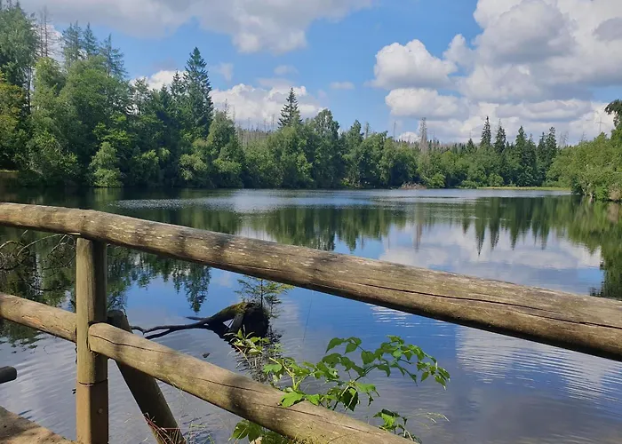 Hexnquartier Daire Braunlage